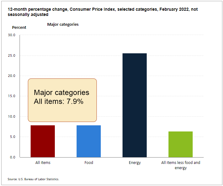 CPI CHART for Critical Inflation Theory page