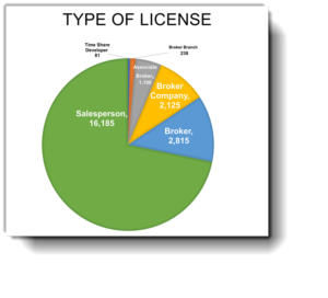 type of license